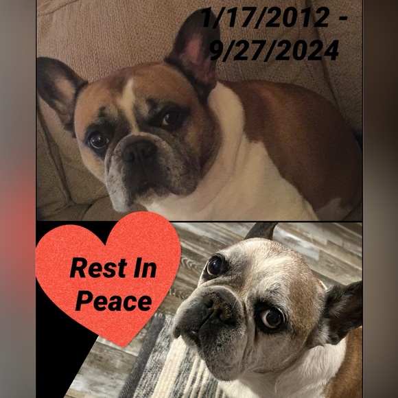 Meet your Posher, Alexandra - Picture 12 of 14